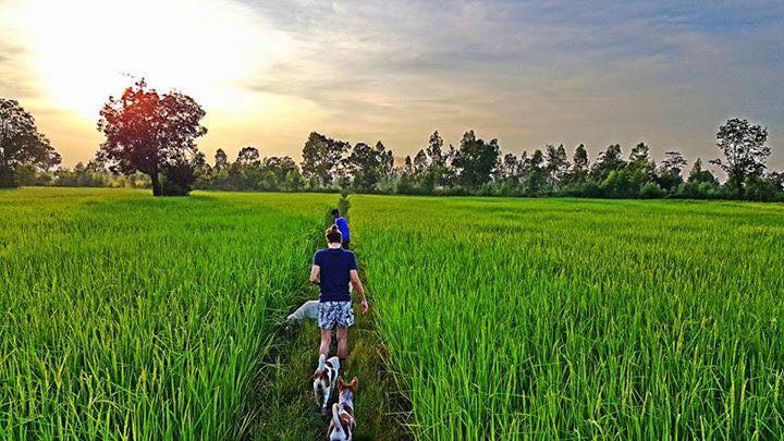 จำได้ไหม  คู่รักสาวสุรินทร์-หนุ่มฝรั่งเศส “ผึ้ง-ดิมิทรี” บุกเบิกที่นา 11 ไร่เป็นสวน “บีนัวร์”