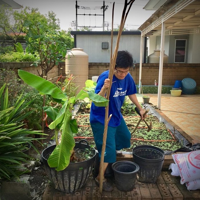 จากชีวิตพัง เป็นชีวิตพอ “ปอยฝ้าย มาลัยพร” เปลี่ยนที่ว่างรอบบ้านเป็นแปลงผัก กิน ใช้พอเพียง