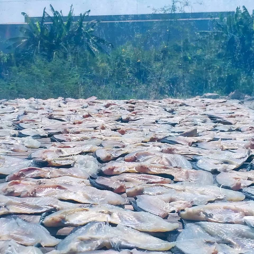“เจตน์ โศภิษฐ์พงศธร” แปลงพื้นที่ร้างประโยชน์เป็น Akasha Farm บ่อปลาสลิดพอเพียง
