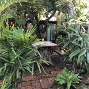 Softime in Garden คาเฟ่ในบ้านหลังน้อย กลางสวนป่าทรอปิคอล