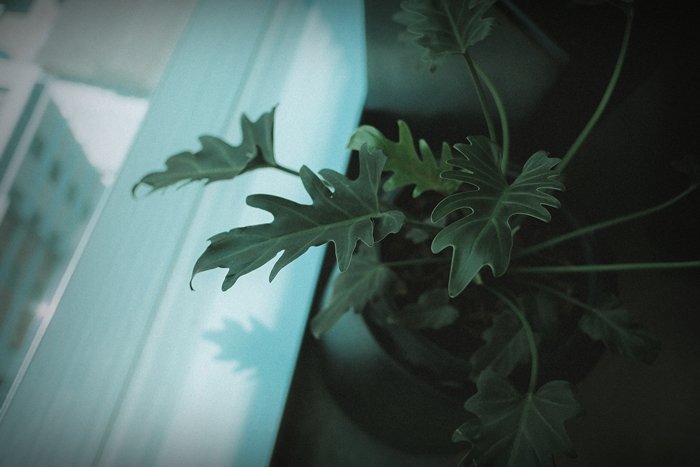 “เทนเซ็นต์ ประเทศไทย” เทคคอมพานี ที่เชื่อว่าความเรียบง่าย คือจุดเริ่มต้นแห่งความคิด