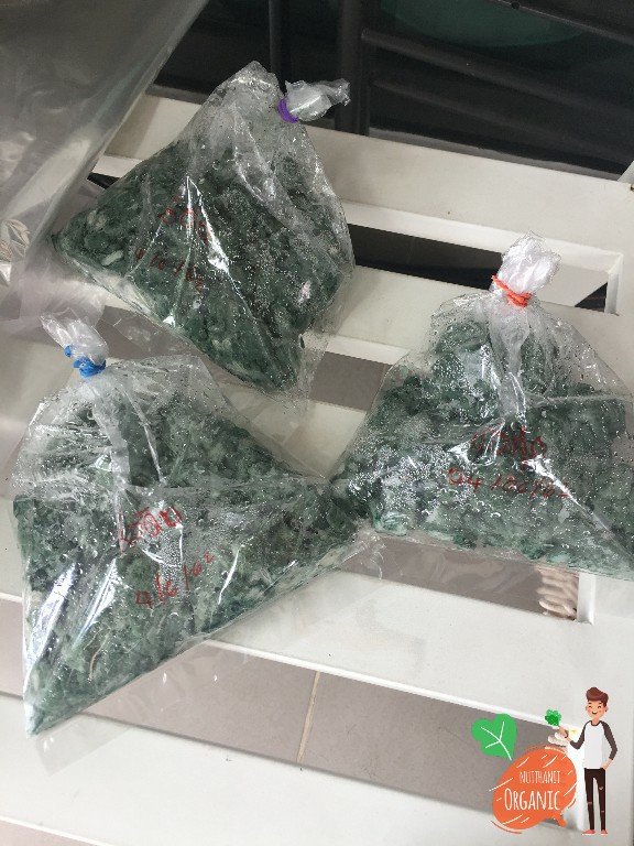 ปลูกฟักทองญี่ปุ่น ครั้งแรกก็ได้กิน