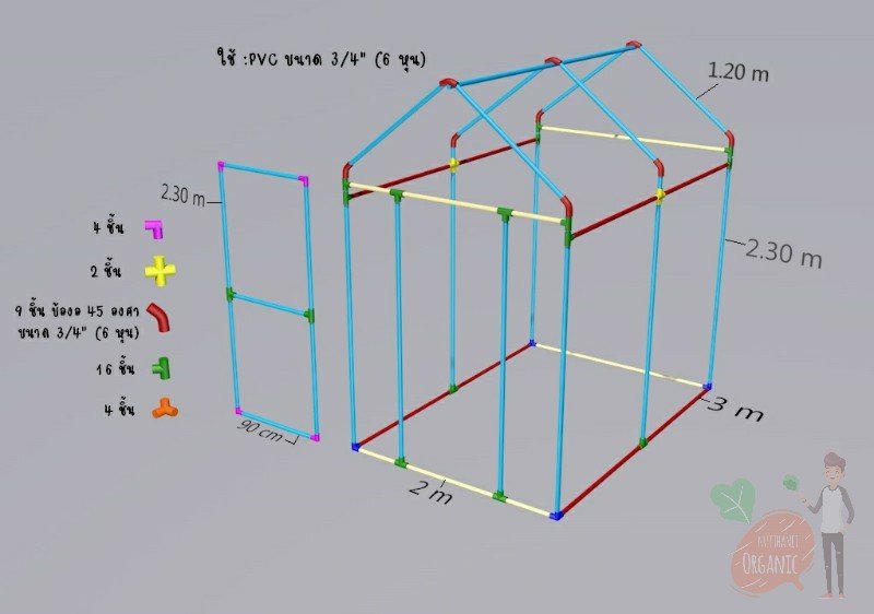 ปลูกฟักทองญี่ปุ่น ครั้งแรกก็ได้กิน