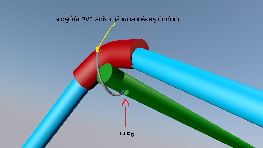 ปลูกฟักทองญี่ปุ่น ครั้งแรกก็ได้กิน