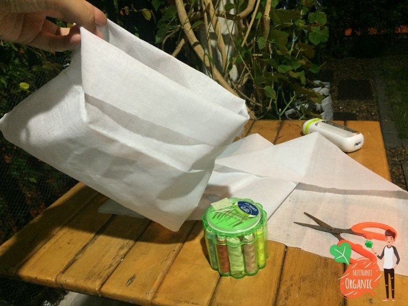 ปลูกฟักทองญี่ปุ่น ครั้งแรกก็ได้กิน