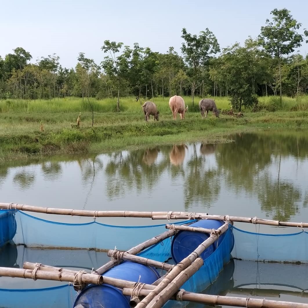 “เสือผจง” โหดจัด ในละคร แต่ชีวิตจริง “น้ำ รพีภัทร” เลือกวิถีหนุ่มบ้านๆ