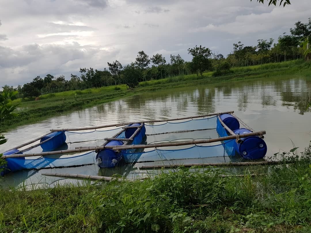 “เสือผจง” โหดจัด ในละคร แต่ชีวิตจริง “น้ำ รพีภัทร” เลือกวิถีหนุ่มบ้านๆ