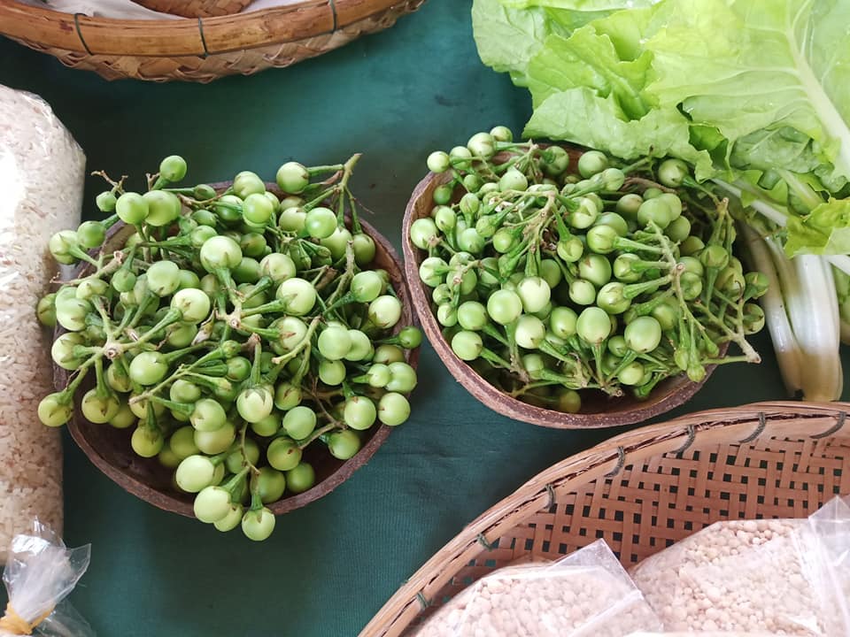 เจ๋งดี ภาชนะจากธรรมชาติ ที่ตลาดใต้โหนด ไอเดียรักษ์โลกคนพัทลุง