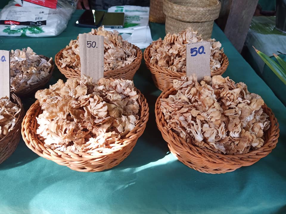 เจ๋งดี ภาชนะจากธรรมชาติ ที่ตลาดใต้โหนด ไอเดียรักษ์โลกคนพัทลุง