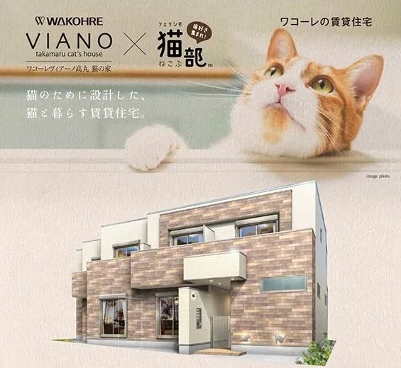 ชาวญี่ปุ่นออกแบบบ้านสไตล์ใหม่สำหรับทาสแมวโดยเฉพาะ