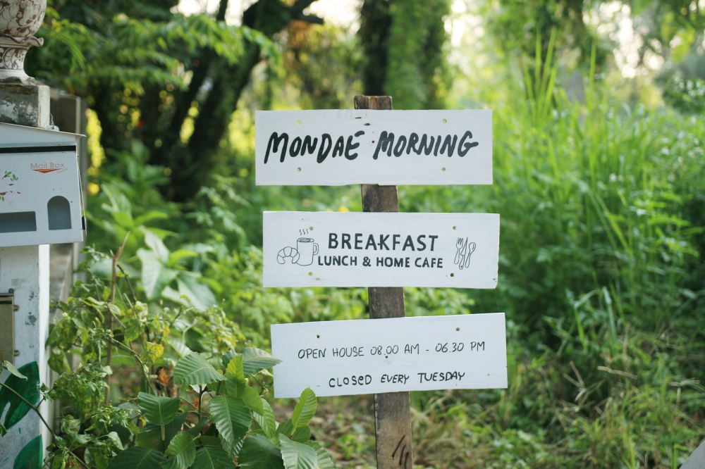 Mondae Morning Cafe เปลี่ยนผืนดินว่างหน้าบ้าน สู่คาเฟ่ที่อัดแน่นด้วยบรรยากาศอบอุ่นทุกอณู