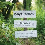 Mondae Morning Cafe เปลี่ยนผืนดินว่างหน้าบ้าน สู่คาเฟ่ที่อัดแน่นด้วยบรรยากาศอบอุ่นทุกอณู