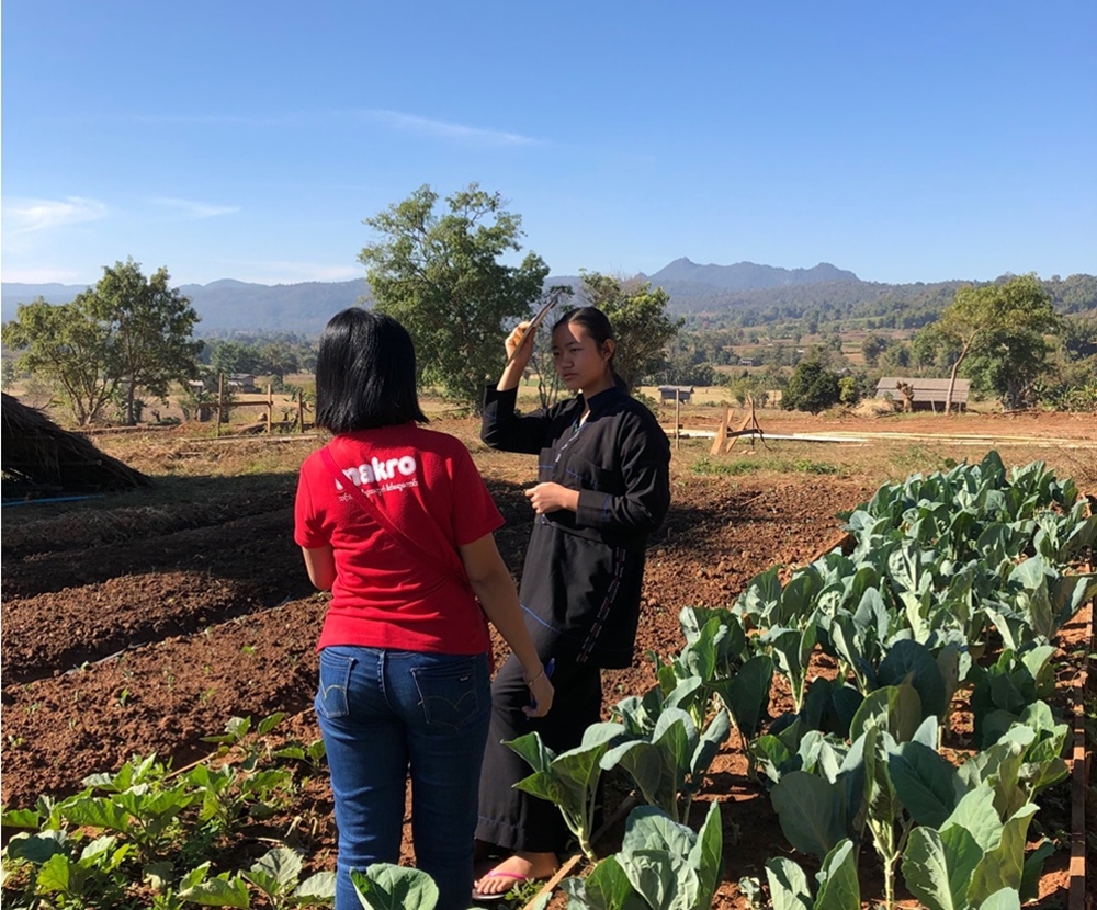 แม็คโคร เจาะแหล่งปลูกผักในรัฐฉาน สร้างโอกาสเกษตรกรท้องถิ่น  ร่วมพัฒนามาตรฐานความปลอดภัยตลอดห่วงโซ่อาหาร