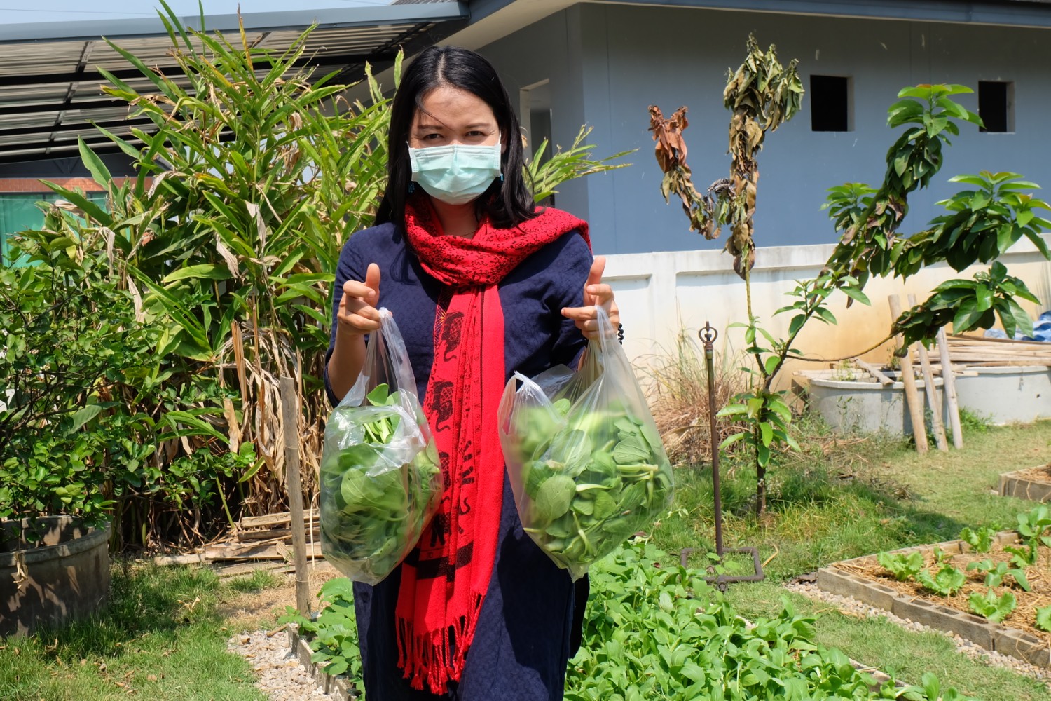 แชร์ประสบการณ์ “ปลูกผักกวางตุ้งฮ่องเต้” วิถีประหยัด ปลอดสารพิษ กินกันได้ทั้งบ้าน