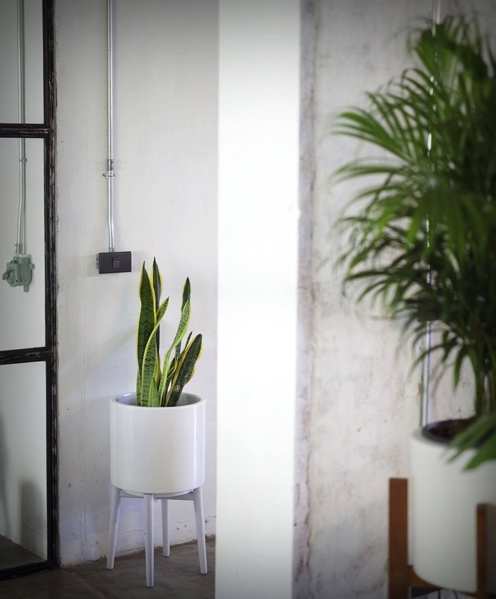 จากห้องแสนธรรมดา สู่ห้องในฝันของผม รีโนเวท