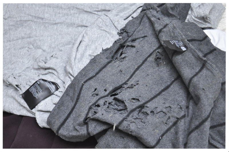 DIY “เสื้อผ้าเก่า” ให้เป็น “ที่นอน” อันแสนอบอุ่นสำหรับเจ้าเหมียว