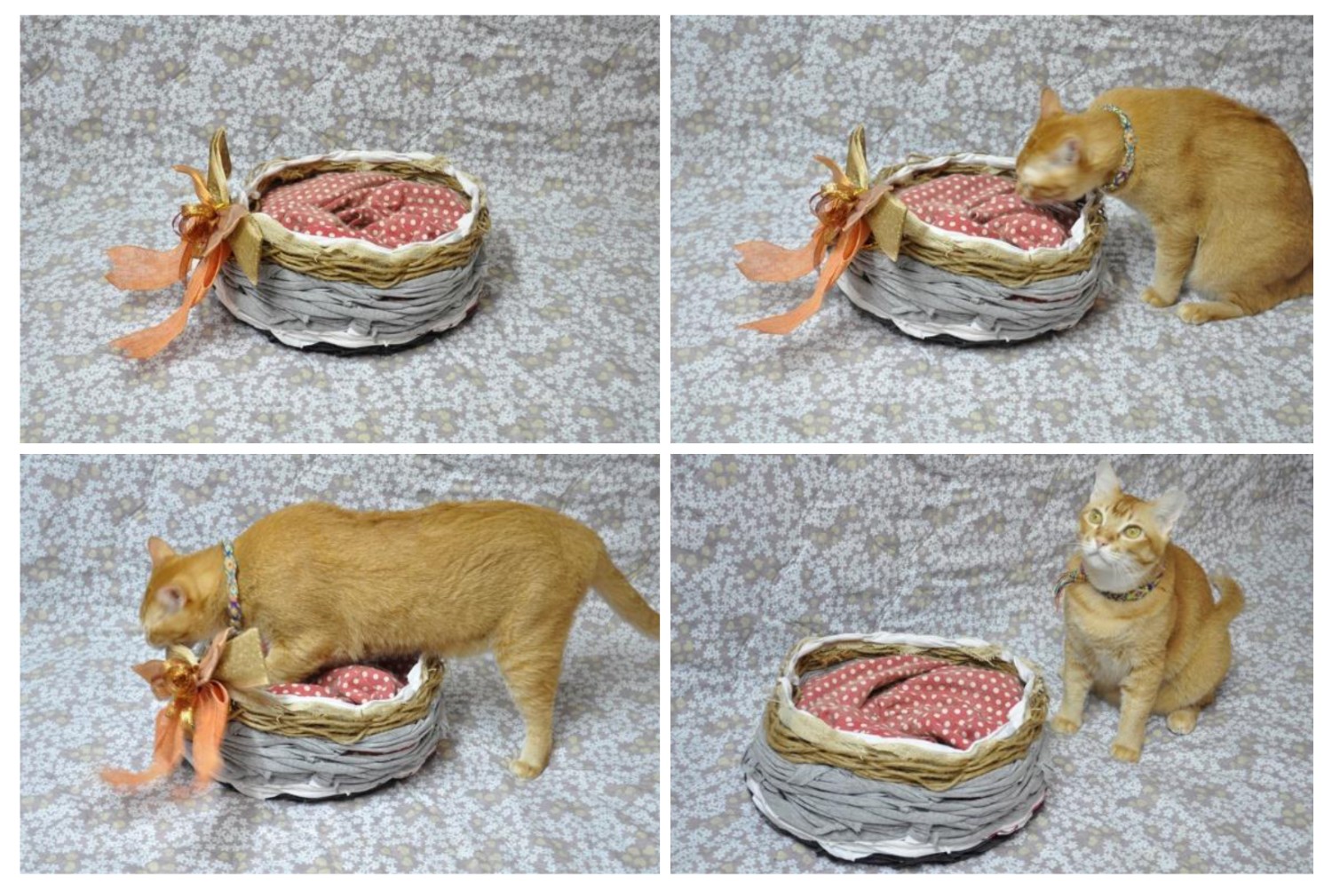 DIY “เสื้อผ้าเก่า” ให้เป็น “ที่นอน” อันแสนอบอุ่นสำหรับเจ้าเหมียว