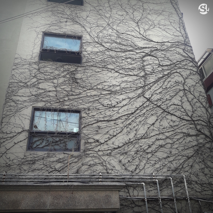 รีวิว "K' s Stay" เกสต์เฮาส์ในกรุงโซล กับระบบแยกขยะ และการจัดการที่เลียนแบบได้ง่ายๆ