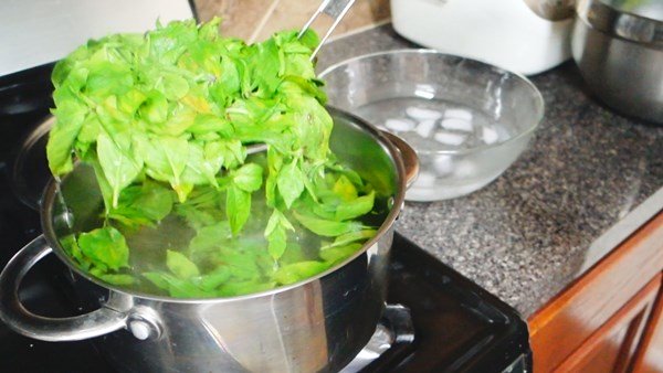 วิธีเก็บ “ใบกะเพรา” และ “โหระพา” แช่แข็งไว้ทานข้ามปี สำหรับคนที่อยู่ต่างประเทศ