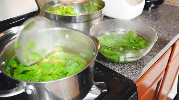 วิธีเก็บ “ใบกะเพรา” และ “โหระพา” แช่แข็งไว้ทานข้ามปี สำหรับคนที่อยู่ต่างประเทศ