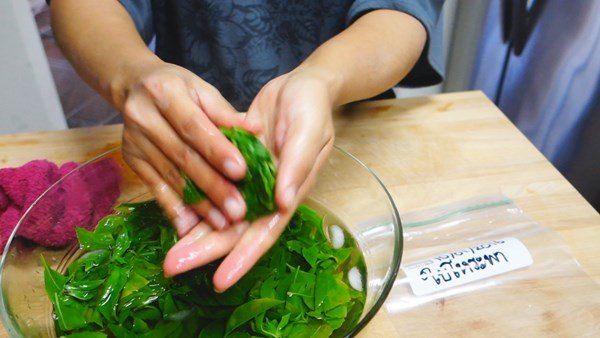 วิธีเก็บ “ใบกะเพรา” และ “โหระพา” แช่แข็งไว้ทานข้ามปี สำหรับคนที่อยู่ต่างประเทศ