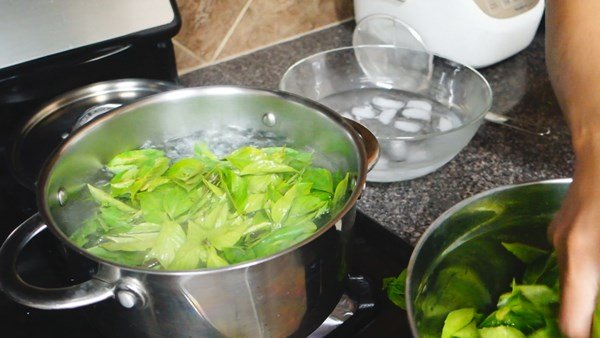 วิธีเก็บ “ใบกะเพรา” และ “โหระพา” แช่แข็งไว้ทานข้ามปี สำหรับคนที่อยู่ต่างประเทศ