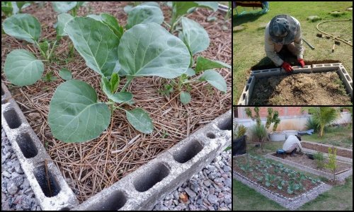 DIY “ทำแปลงผักจากอิฐบล็อก” ทำง่าย สวยงาม เป็นระเบียบ ด้วยงบประมาณ 1164 บาท