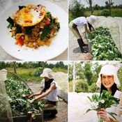 แม่ลุยเอง “ปิ่น เก็จมณี” ลงสวนเก็บผัก ทำอาหารเพื่อสุขภาพทานเอง
