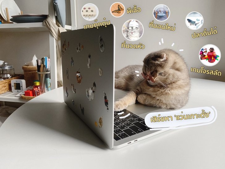 อยู่บ้านไม่เหงา เจ้าของเพจ" เราเขียนแฟนถ่าย"  DIY มุมในบ้าน อวดคอนเทนต์เก๋ๆ บนโลกโซเชียล