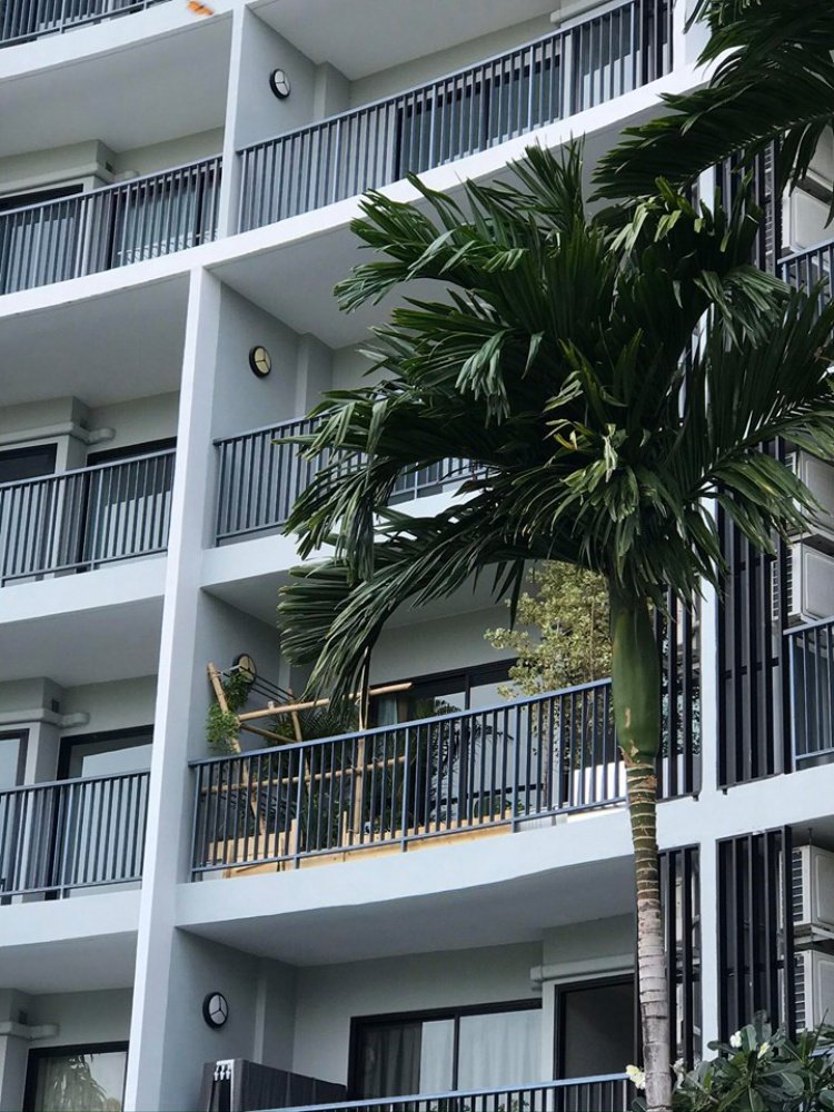 เปลี่ยนระเบียงคอนโดเป็นแปลงผักสวนครัวของคนเมือง