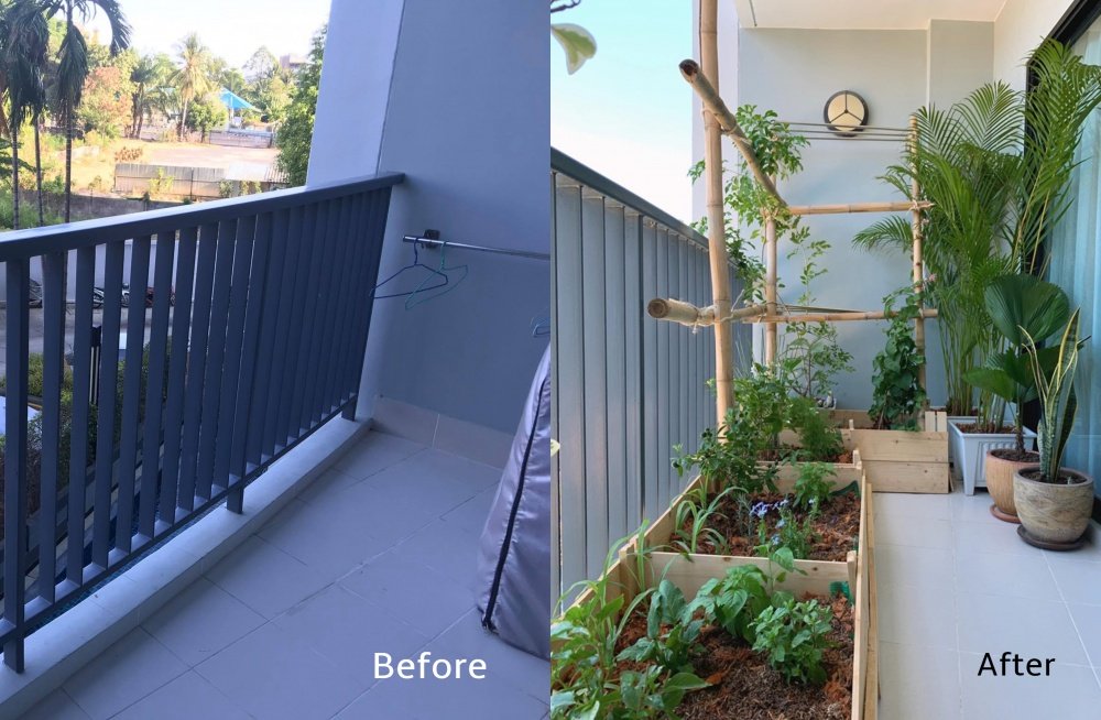 เปลี่ยนระเบียงคอนโดเป็นแปลงผักสวนครัวของคนเมือง