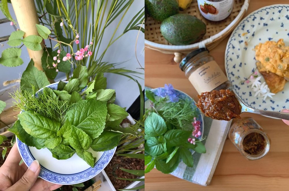 เปลี่ยนระเบียงคอนโดเป็นแปลงผักสวนครัวของคนเมือง