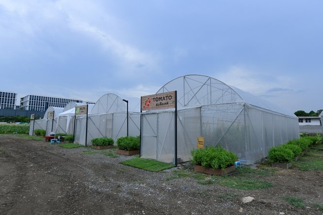 แสนสิริชวนลูกบ้านเปลี่ยนที่ว่างรอบบ้านและในคอนโดฯ เป็นสวนผักทานได้