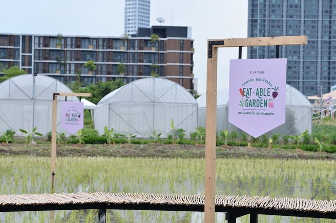 แสนสิริชวนลูกบ้านเปลี่ยนที่ว่างรอบบ้านและในคอนโดฯ เป็นสวนผักทานได้