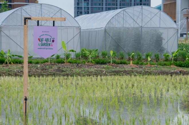 แสนสิริชวนลูกบ้านเปลี่ยนที่ว่างรอบบ้านและในคอนโดฯ เป็นสวนผักทานได้