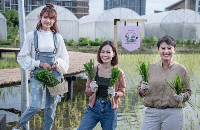 แสนสิริชวนลูกบ้านเปลี่ยนที่ว่างรอบบ้านและในคอนโดฯ เป็นสวนผักทานได้