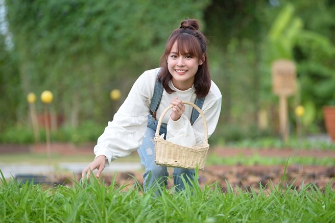 แสนสิริชวนลูกบ้านเปลี่ยนที่ว่างรอบบ้านและในคอนโดฯ เป็นสวนผักทานได้