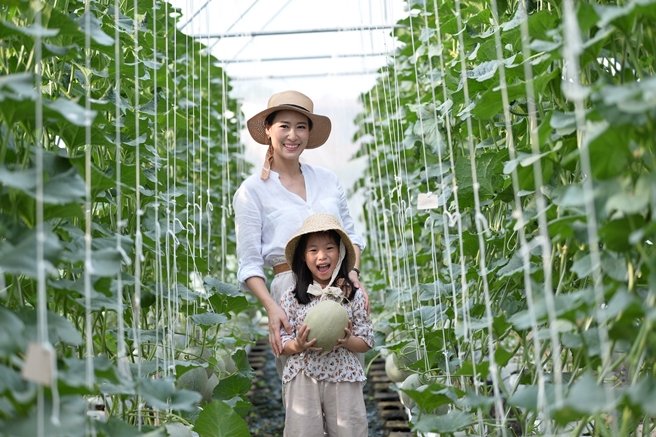 แสนสิริชวนลูกบ้านเปลี่ยนที่ว่างรอบบ้านและในคอนโดฯ เป็นสวนผักทานได้