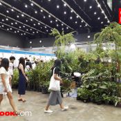 รีวิวโซน “Garden of Ideas” งานบ้านและสวนแฟร์ Midyear 2020 แรงจริง ไรจริง