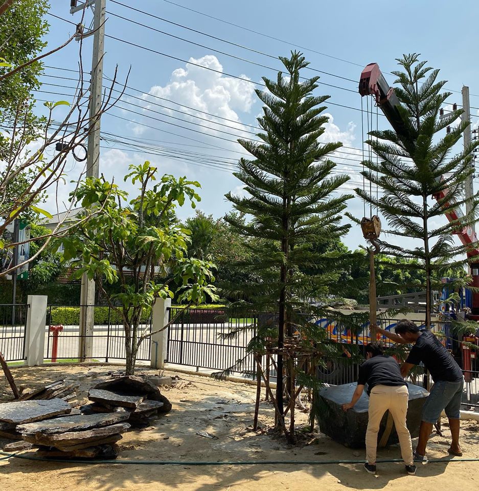 แชร์ประสบการณ์ “จัดสวนแบบเมืองหนาว” ลดความร้อน ลดฝุ่น PM25 สร้างบรรยากาศที่ร่มรื่น