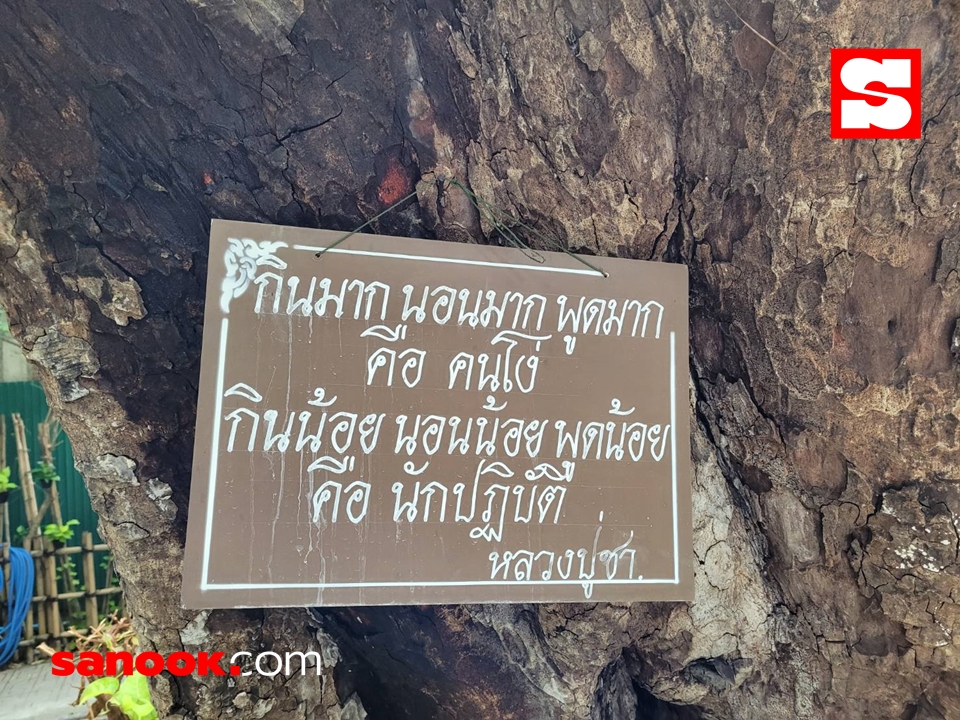 รีวิว “สวนป่าวัดปทุม ฯ” สวนปิดวาจากลางกรุง ดับร้อน เย็นกาย เย็นใจทั้งวัน