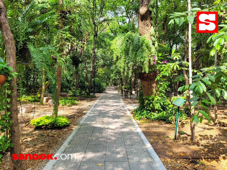 รีวิว “สวนป่าวัดปทุม ฯ” สวนปิดวาจากลางกรุง ดับร้อน เย็นกาย เย็นใจทั้งวัน