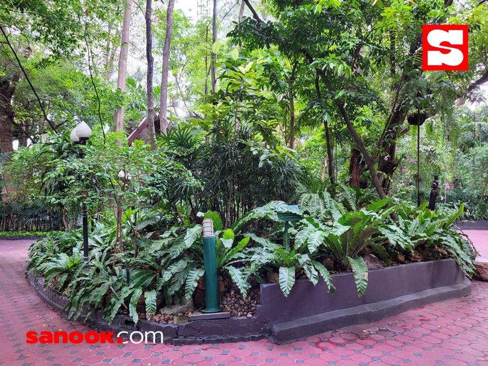 รีวิว “สวนป่าวัดปทุม ฯ” สวนปิดวาจากลางกรุง ดับร้อน เย็นกาย เย็นใจทั้งวัน