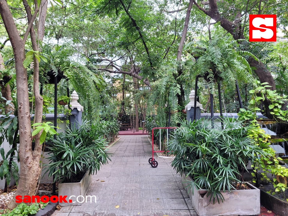 รีวิว “สวนป่าวัดปทุม ฯ” สวนปิดวาจากลางกรุง ดับร้อน เย็นกาย เย็นใจทั้งวัน