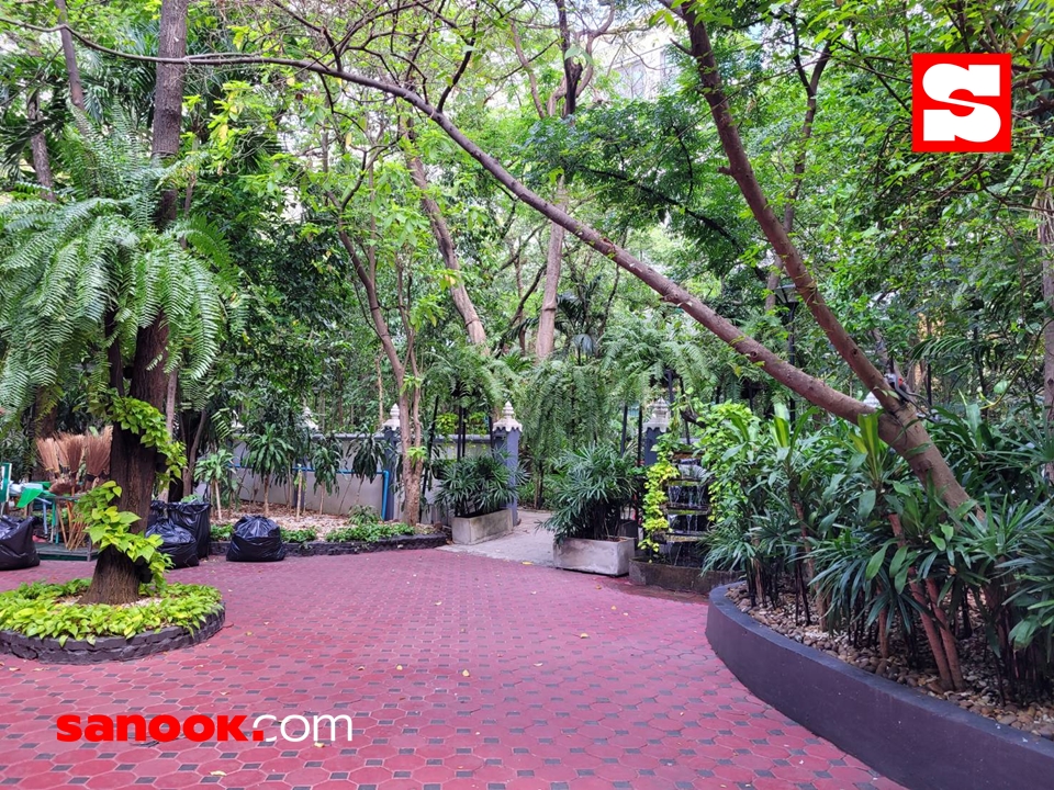 รีวิว “สวนป่าวัดปทุม ฯ” สวนปิดวาจากลางกรุง ดับร้อน เย็นกาย เย็นใจทั้งวัน