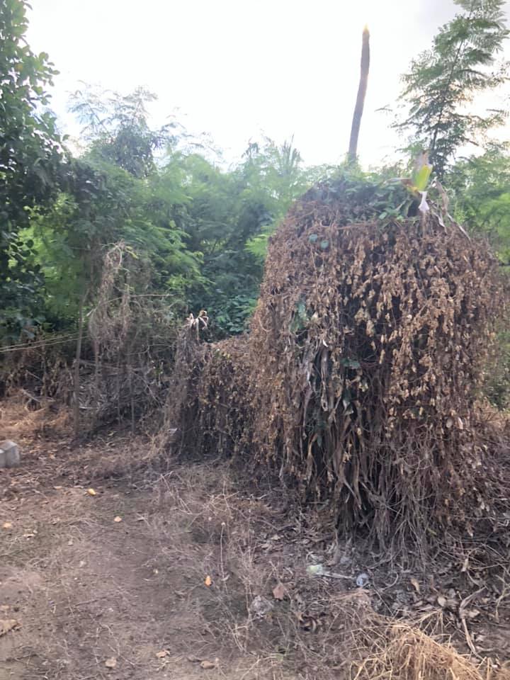รีวิว “สร้างบ้านสวนน็อคดาวน์” ที่พักเล็ก ๆ ส่วนตัวหนีภัยโควิด