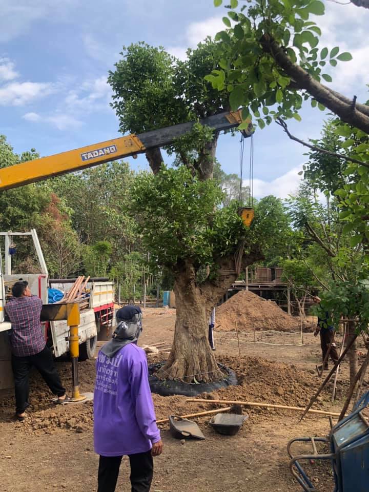 รีวิว “สร้างบ้านสวนน็อคดาวน์” ที่พักเล็ก ๆ ส่วนตัวหนีภัยโควิด