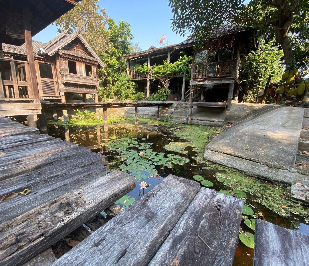 "ต่าย อรทัย" โพสต์ภาพเรือนไทยสวยสง่า มีสระบัวกลางบ้าน แอบจินตนาการให้เป็นร้านกาแฟ