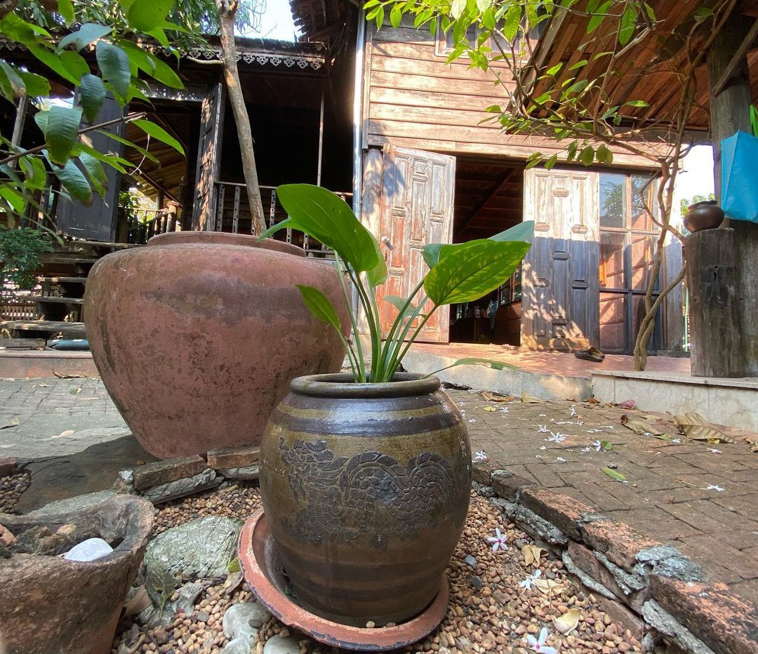 "ต่าย อรทัย" โพสต์ภาพเรือนไทยสวยสง่า มีสระบัวกลางบ้าน แอบจินตนาการให้เป็นร้านกาแฟ