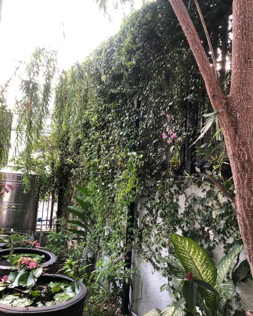 "ท็อป ดารณีนุช" โพสต์ภาพสวนบ้าน "ก้อง ปิยะ" รอดอกเหลืองชัชวาลเบ่งบาน